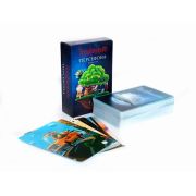 STUPID CASUAL Игра «Имаджинариум »Персефона