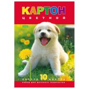 Hatber Картон цветной мелованный 10 листов, 10 цветов Белый мишка